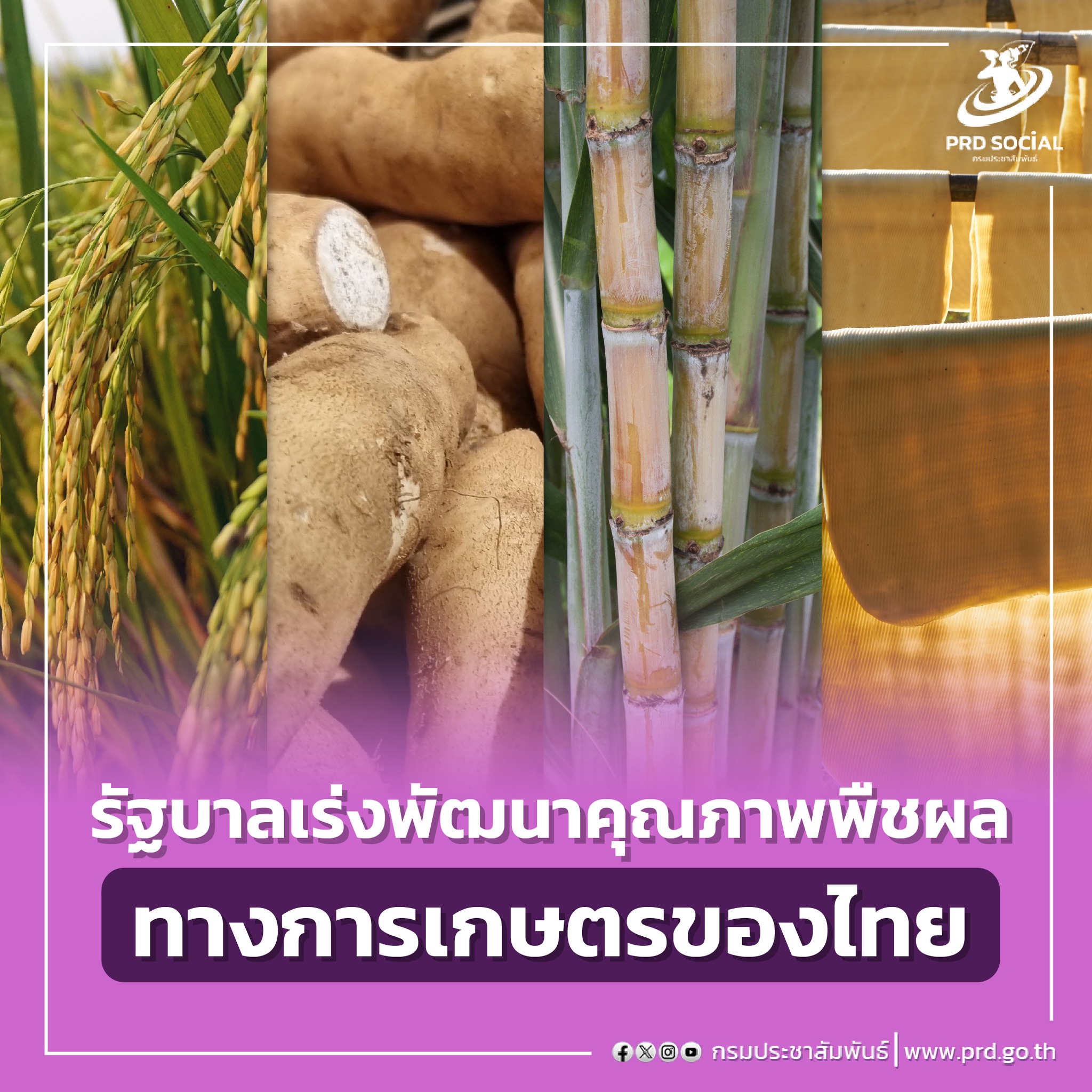 ดันไทยเป็นศูนย์กลางการเกษตรและอาหารของโลก (Agriculture and Food Hub)